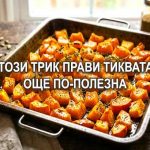 тиква