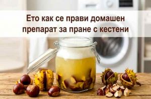 Ето как се прави домашен препарат за пране с кестени