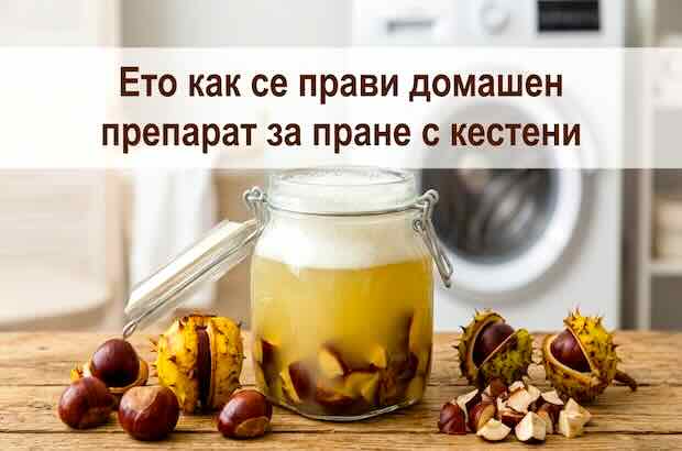 Ето как се прави домашен препарат за пране с кестени
