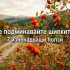 Не подминавайте шипките! 7 изненадващи ползи